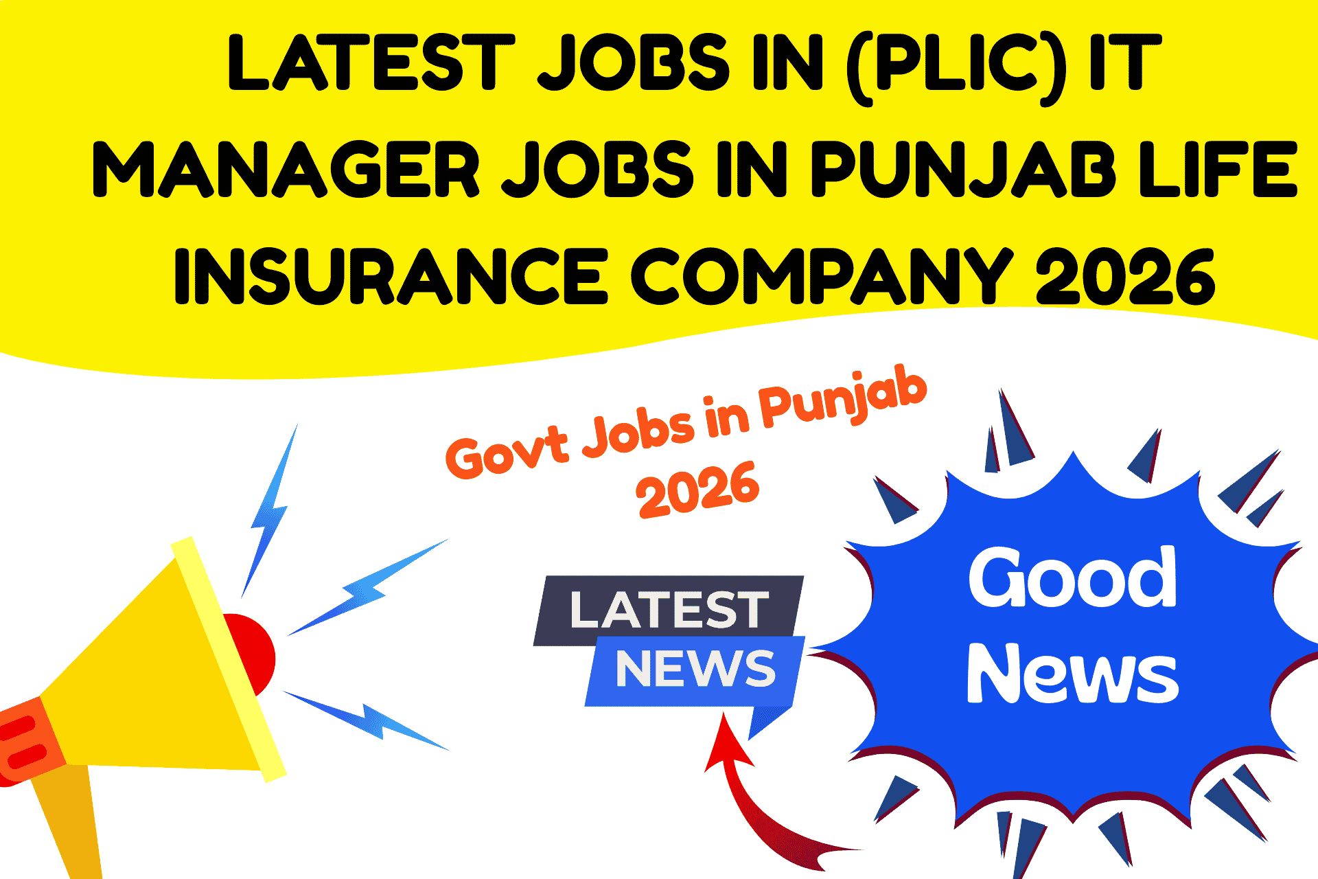 Punjab Life Insurance Company