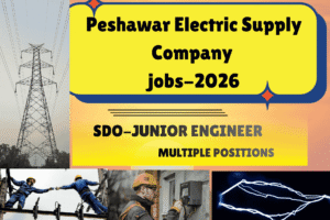 Peshawar Electric Supply Company