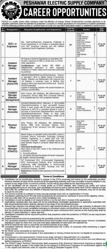 Peshawar Electric Supply Company
